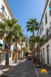 eine Kopfsteinpflasterstraße mit Palmen und einer Kirche in der Unterkunft Apartamento Caleta - FREE PARKING by Cadiz Time in Cádiz