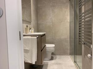 uma casa de banho com um WC e uma cabina de duche em vidro. em Apartamentos m.bell em León