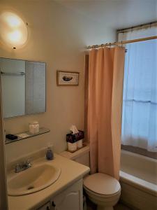 a bathroom with a sink and a toilet and a mirror at Gower Guest House in St. John's +13 photos