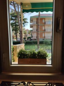 a window with a pot of plants on a balcony at Verdolina - By Ligooria in Pietra Ligure