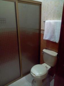 a bathroom with a toilet and a glass shower at Hotel Santa Elena in El Fuerte