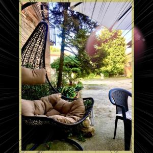 A garden outside Felix House