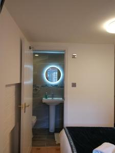 y baño con lavabo, aseo y espejo. en Motel Schmotel, en Brighton & Hove