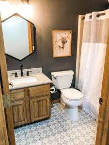 a bathroom with a toilet and a sink and a mirror at Riverfront Mountain Cottage Retreat in Estes Park +22 photos