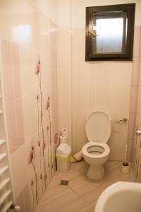 a bathroom with a toilet and a sink and a mirror at вила Топи in Kaloyanovo +68 photos