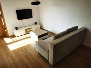 Televízia a/alebo spoločenská miestnosť v ubytovaní Apartmán Mlýnská Strouha