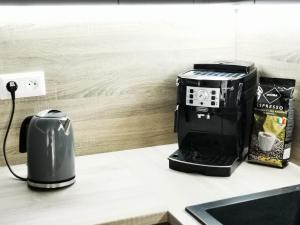eine Kaffeemaschine auf einer Küchentheke in der Unterkunft Apartmán Mlýnská Strouha in Pilsen