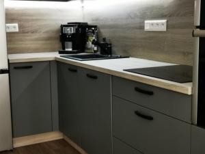 Kuchyňa alebo kuchynka v ubytovaní Apartmán Mlýnská Strouha