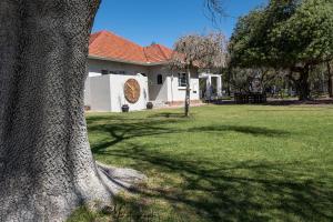 Ein Baum im Hof eines Hauses in der Unterkunft @Mango's in Beaufort West