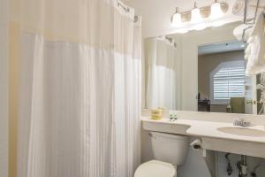 桑尼維爾的住宿－森尼韋爾旅遊酒店，一间带水槽、卫生间和镜子的浴室