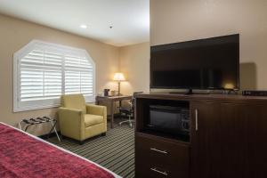 a hotel room with a bed and a flat screen tv at Travel Inn Sunnyvale in Sunnyvale