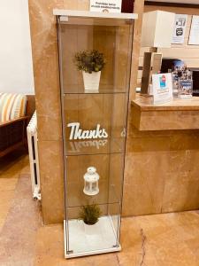 a glass display case with a plant in it at Hotel Delicias in Zaragoza