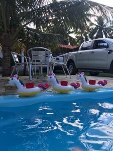 
Aqua park at the holiday home or nearby
