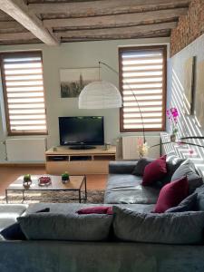 sala de estar con sofá y TV de pantalla plana en Green Lodges en Blaregnies