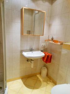 a bathroom with a sink and a mirror at Appartement Ramona in Hainzenberg