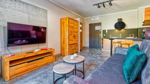 TV a/nebo společenská místnost v ubytování Apartament Studio Holiday Mountain Residence - 5D Apartamenty + 4 fotografie