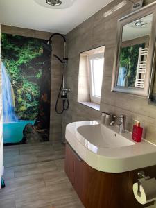 un baño con lavabo y ducha en Haus Friedel Überlingen am Bodensee, en Überlingen 25 fotos más