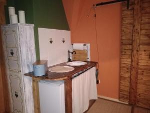 a bathroom with a counter with a sink in it at Linas Töpferhof in Weißenfels