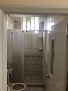 a bathroom with a shower and a toilet at Dongyin Homestay連江縣民宿054號 in Dongyin