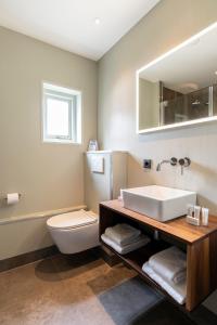 La salle de bains est pourvue d'un lavabo, de toilettes et d'un miroir. dans l'établissement Prins Hendrik Texel, à Oost