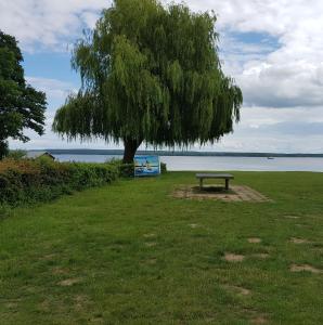 um banco de parque debaixo de uma árvore ao lado da água em Ferienhaus Plau am See in Wassernähe em Plau am See