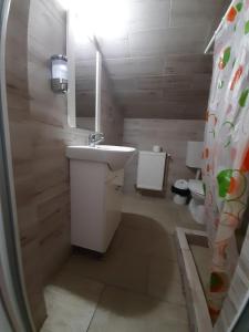 a small bathroom with a sink and a toilet at Pensiunea Casianna & Spa in Păltiniş