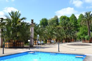 a swimming pool with palm trees and a fountain at Hauptallee Appartements in Bad Pyrmont