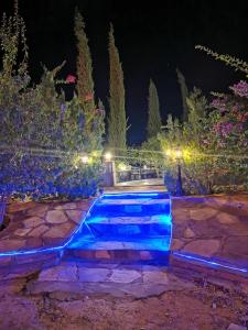 una piscina illuminata di notte in blu di Naseem Country House a Al Ula