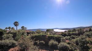a view of the ocean from a hill with trees at Villa Alinea in Sainte-Maxime