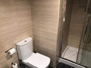 a small bathroom with a toilet and a shower at Arizonica Suites in Madrid