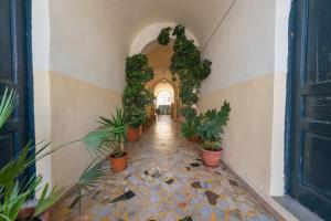 Zahrada ubytování B&B La Piazzetta