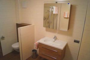 łazienka z umywalką, prysznicem i toaletą w obiekcie Ferienwohnung Sonnwendhof "Kellerjochblick" w mieście Schwaz +12 zdjęć