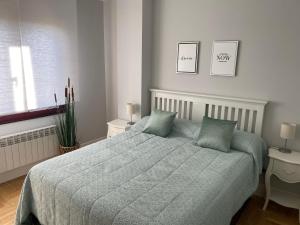 ein Schlafzimmer mit einem Bett mit zwei Kissen darauf in der Unterkunft Apartamento ideal a la entrada de Salamanca !!! in Santa Marta de Tormes