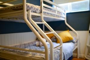 - łóżko piętrowe z drabiną w pokoju w obiekcie The Woodquay Hostel w Galway