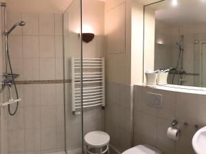 a bathroom with a shower and a toilet and a sink at Appartement Auszeit in Glücksburg