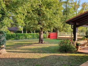 a tree in the middle of a yard at l'hacienda in Saint-Pierre-du-Mont