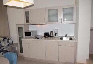 Kuchyň nebo kuchyňský kout v ubytování Apartments Villa Loznica