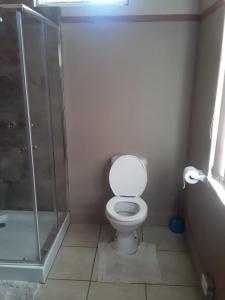 een badkamer met een toilet en een glazen douche bij Silvermoon in Nigel