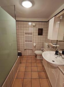 a bathroom with a sink and a toilet at La Meisoun de Lanta - cir n 0003 in Introd