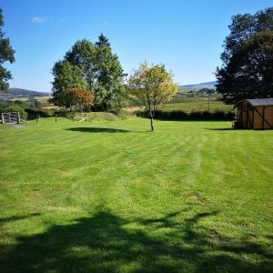 a large grassy field with trees in the background at the cwch in Llanbister +3 photos