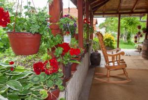 Zahrada ubytování Apartmani Beslic