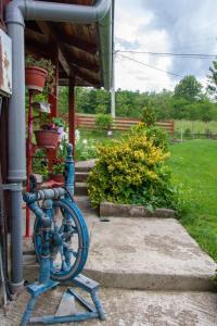 Zahrada ubytování Apartmani Beslic