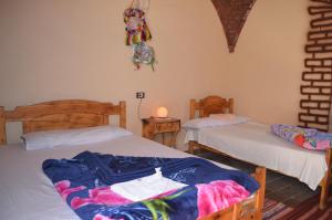 Кровать или кровати в номере Mountain Camp Ali Khaled