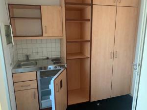uma pequena cozinha com armários de madeira e um lavatório em Runa´s Appartment em Hallbergmoos