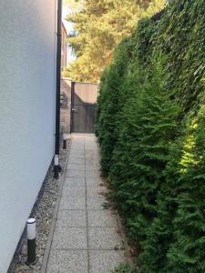 Aed väljaspool majutusasutust Apartmán v centre Michaloviec