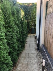 Aed väljaspool majutusasutust Apartmán v centre Michaloviec