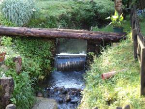 Afbeelding uit fotogalerij van Gästehaus Verena in Mondsee +5 foto's