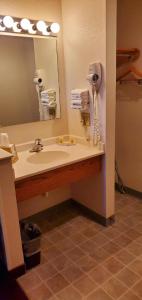 a bathroom with a sink and a large mirror at Gettysburg Inn and Suites in Gettysburg