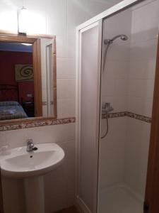 a bathroom with a shower and a sink and a mirror at Casa Mariví in Niembro
