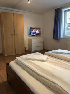 a bedroom with two beds and a television in it at CityApartment MELITTA in Schladming